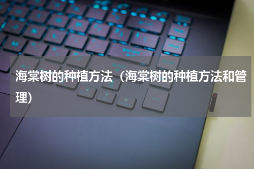 海棠树的种植方法（海棠树的种植方法和管理）