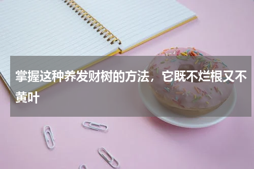 掌握这种养发财树的方法，它既不烂根又不黄叶