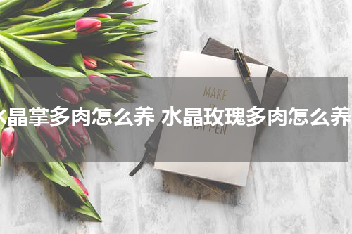 水晶掌多肉怎么养 水晶玫瑰多肉怎么养