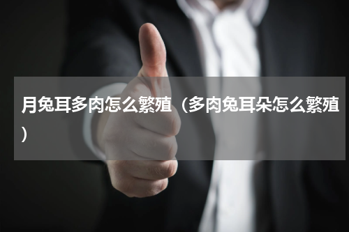 月兔耳多肉怎么繁殖（多肉兔耳朵怎么繁殖）