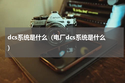 dcs系统是什么（电厂dcs系统是什么）