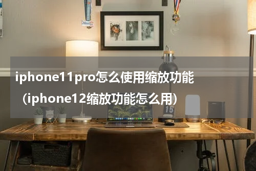iphone11pro怎么使用缩放功能（iphone12缩放功能怎么用）