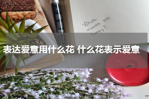 表达爱意用什么花 什么花表示爱意