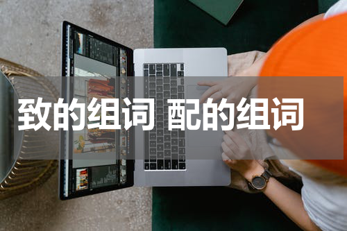 致的组词 配的组词