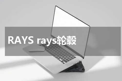 RAYS rays轮毂