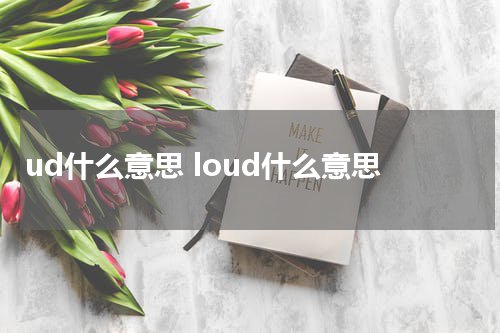 ud什么意思 loud什么意思