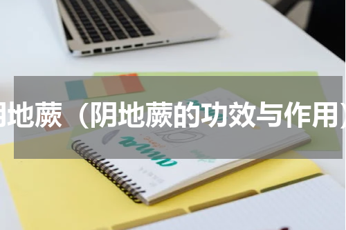 阴地蕨（阴地蕨的功效与作用）