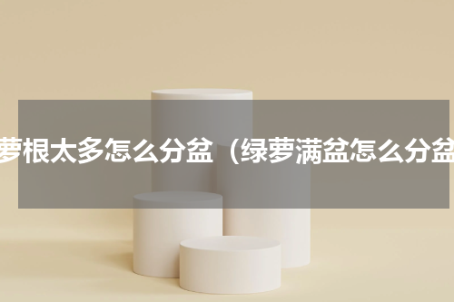 绿萝根太多怎么分盆（绿萝满盆怎么分盆）