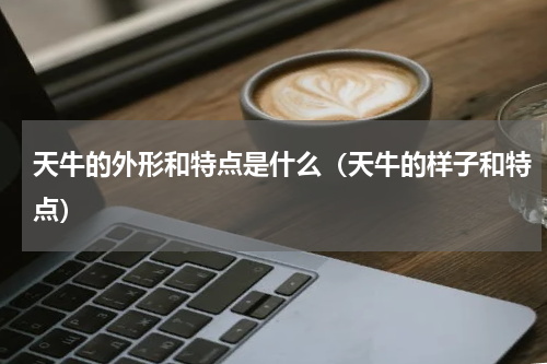 天牛的外形和特点是什么（天牛的样子和特点）