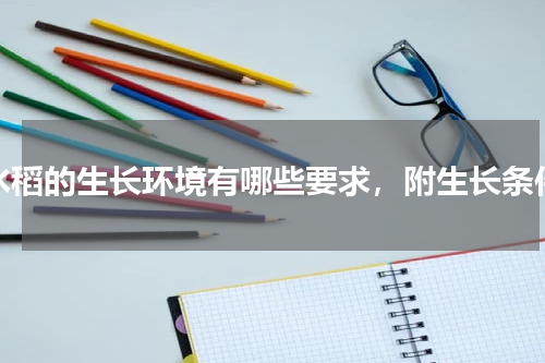 水稻的生长环境有哪些要求，附生长条件