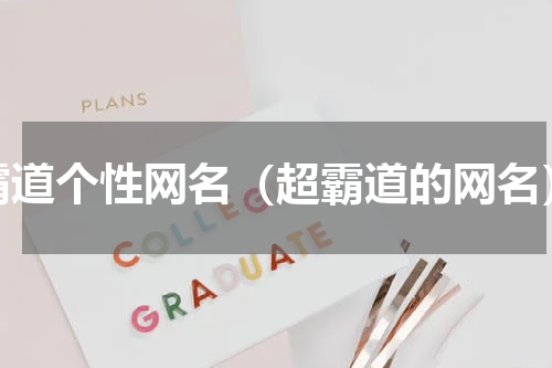 霸道个性网名（超霸道的网名）