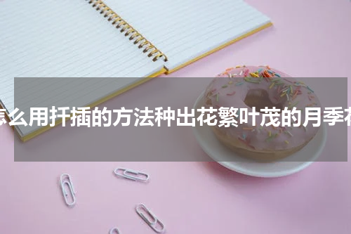 怎么用扦插的方法种出花繁叶茂的月季花