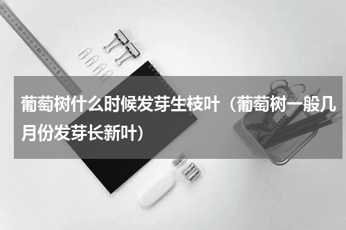 葡萄树什么时候发芽生枝叶（葡萄树一般几月份发芽长新叶）