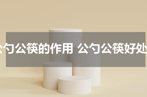 公勺公筷的作用 公勺公筷好处