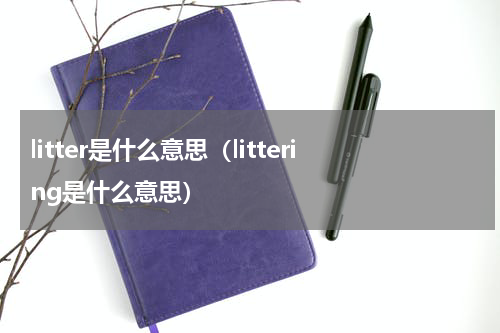 litter是什么意思（littering是什么意思）