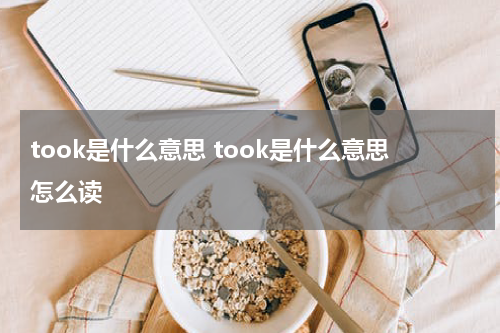 took是什么意思 took是什么意思怎么读