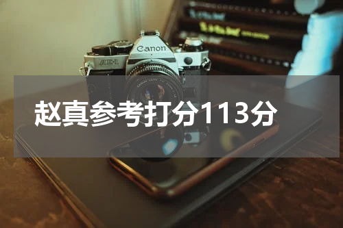 赵真参考打分113分