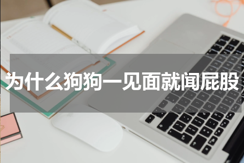 为什么狗狗一见面就闻屁股