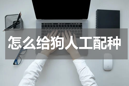 怎么给狗人工配种