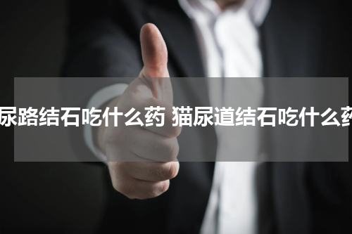 猫尿路结石吃什么药 猫尿道结石吃什么药