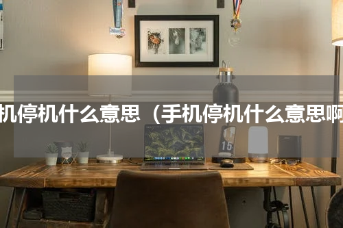 手机停机什么意思（手机停机什么意思啊）