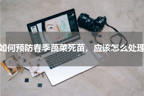 如何预防春季蔬菜死苗，应该怎么处理