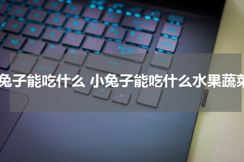 小兔子能吃什么 小兔子能吃什么水果蔬菜