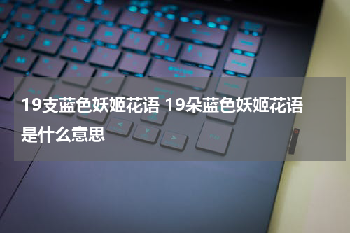 19支蓝色妖姬花语 19朵蓝色妖姬花语是什么意思