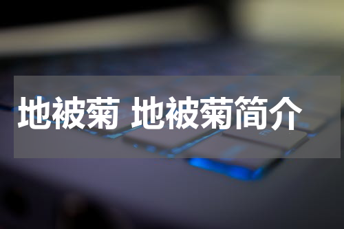 地被菊 地被菊简介