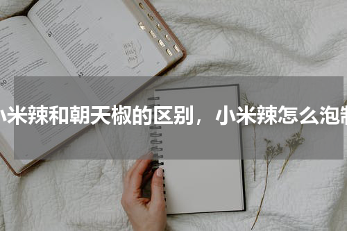 小米辣和朝天椒的区别，小米辣怎么泡制