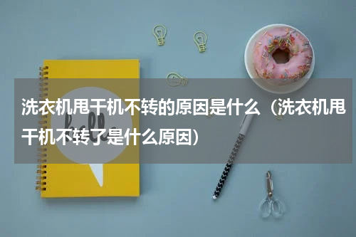洗衣机甩干机不转的原因是什么（洗衣机甩干机不转了是什么原因）
