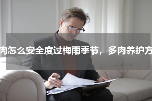 多肉怎么安全度过梅雨季节，多肉养护方法