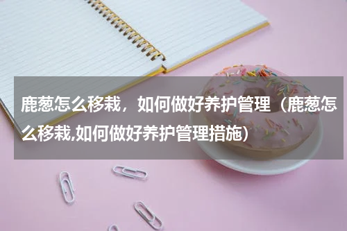 鹿葱怎么移栽，如何做好养护管理（鹿葱怎么移栽,如何做好养护管理措施）