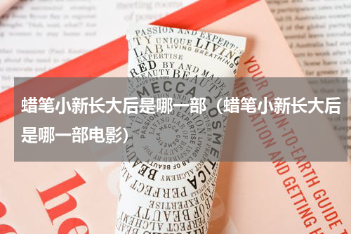 蜡笔小新长大后是哪一部（蜡笔小新长大后是哪一部电影）