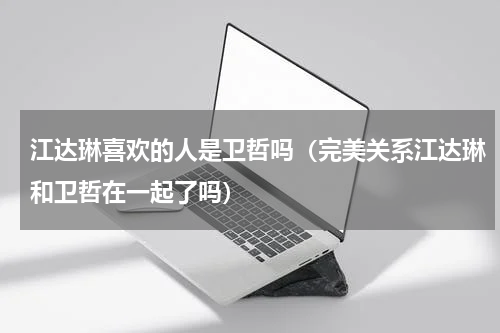 江达琳喜欢的人是卫哲吗（完美关系江达琳和卫哲在一起了吗）