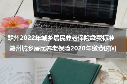 赣州2022年城乡居民养老保险缴费标准 赣州城乡居民养老保险2020年缴费时间
