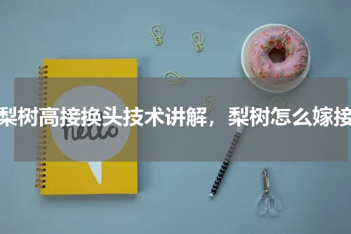 梨树高接换头技术讲解，梨树怎么嫁接