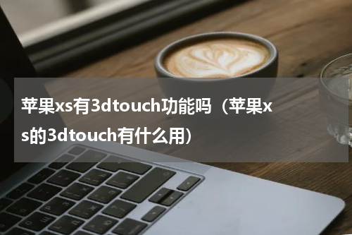 苹果xs有3dtouch功能吗（苹果xs的3dtouch有什么用）
