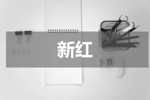 新红