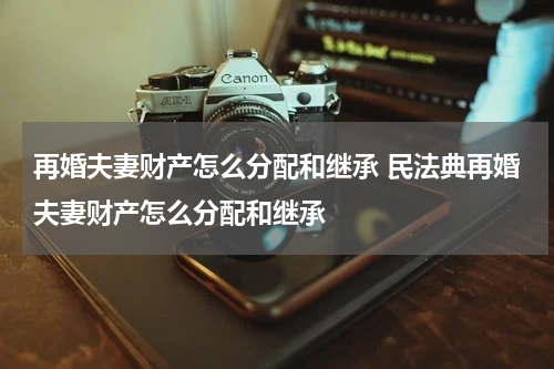 再婚夫妻财产怎么分配和继承 民法典再婚夫妻财产怎么分配和继承