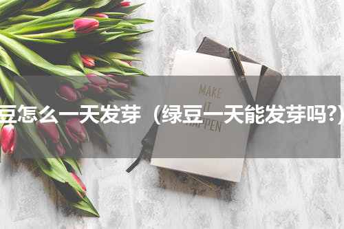 绿豆怎么一天发芽（绿豆一天能发芽吗?）