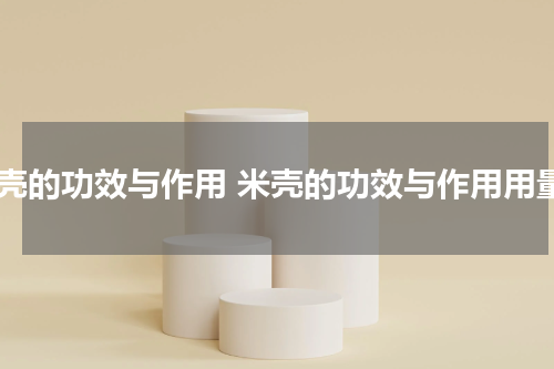 米壳的功效与作用 米壳的功效与作用用量