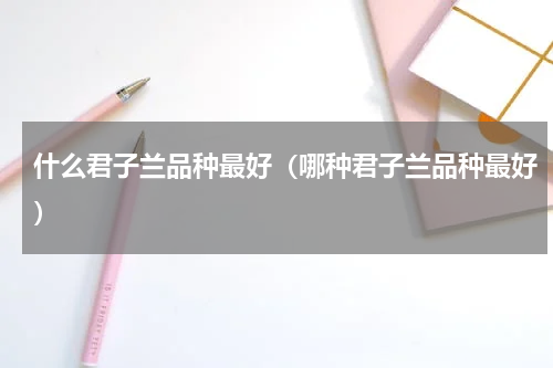 什么君子兰品种最好（哪种君子兰品种最好）