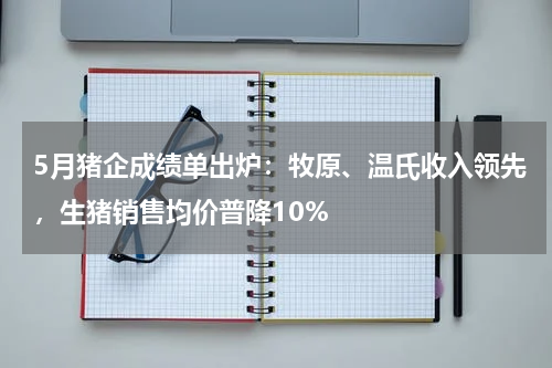 5月猪企成绩单出炉：牧原、温氏收入领先，生猪销售均价普降10%