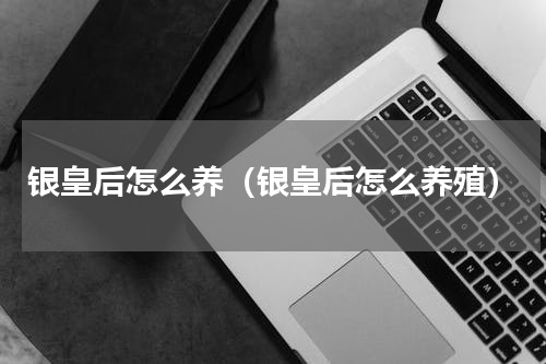 银皇后怎么养（银皇后怎么养殖）