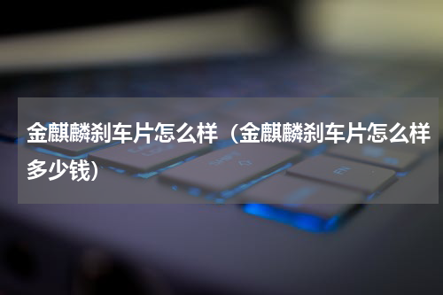 金麒麟刹车片怎么样（金麒麟刹车片怎么样多少钱）