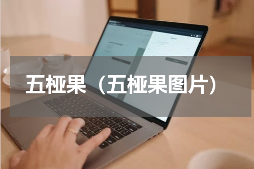 五桠果（五桠果图片）