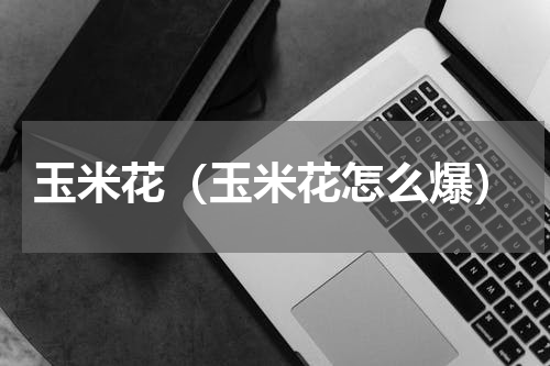 玉米花（玉米花怎么爆）