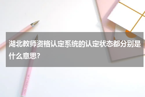 湖北教师资格认定系统的认定状态都分别是什么意思？