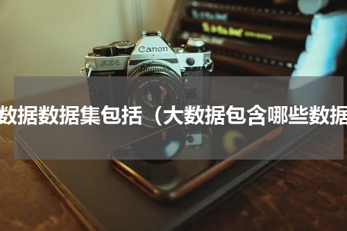 大数据数据集包括（大数据包含哪些数据）